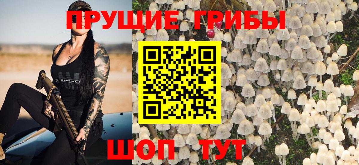 купить закладку  Вход с VPN  Электрогорск  Галлюциногенные грибы Cubensis 