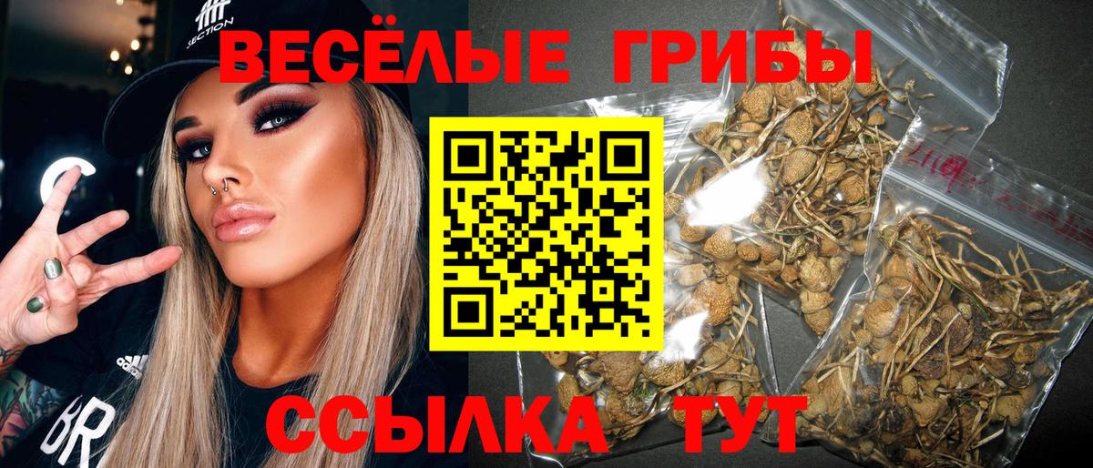 Марихуана  ГАШ  МЕТ  Вход с VPN  МЕФ  Электрогорск  Меф кристаллы  ГАШ  Alpha-PVP СОЛЬ кристаллы 