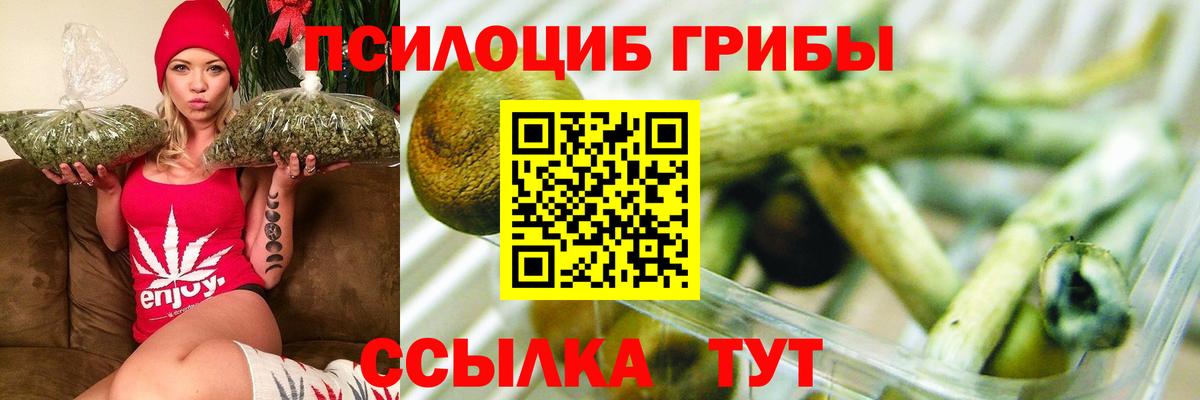 Псилоцибиновые грибы MAGIC MUSHROOMS Электрогорск